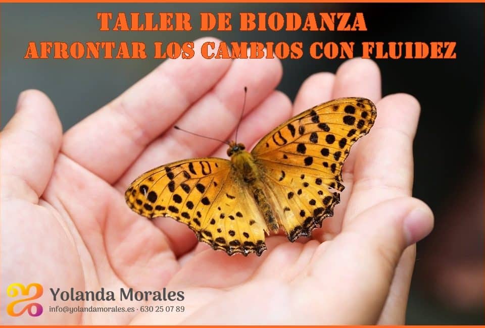 Taller de Biodanza. Afrontar los cambios con fluidez. Yolanda Morales Pereira